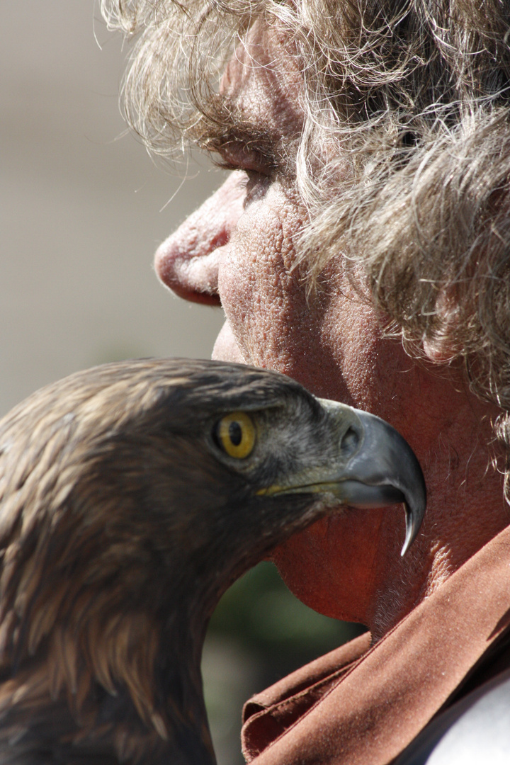 Der FALKNER mit seinem Jäger