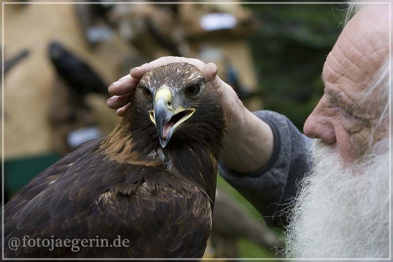 Der Falkner und sein Adler