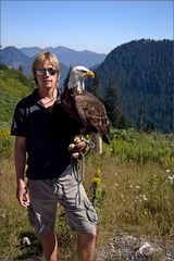 Der Falkner von Grouse Mountain