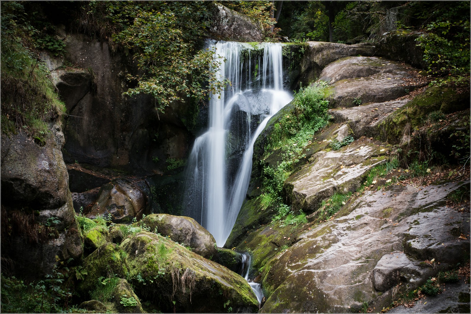 Der Fall Schwarzwald, Akte Triberg, Sektion "OBEN"