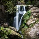 Der Fall Schwarzwald, Akte Triberg, Sektion "OBEN"