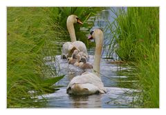 der Familienausflug