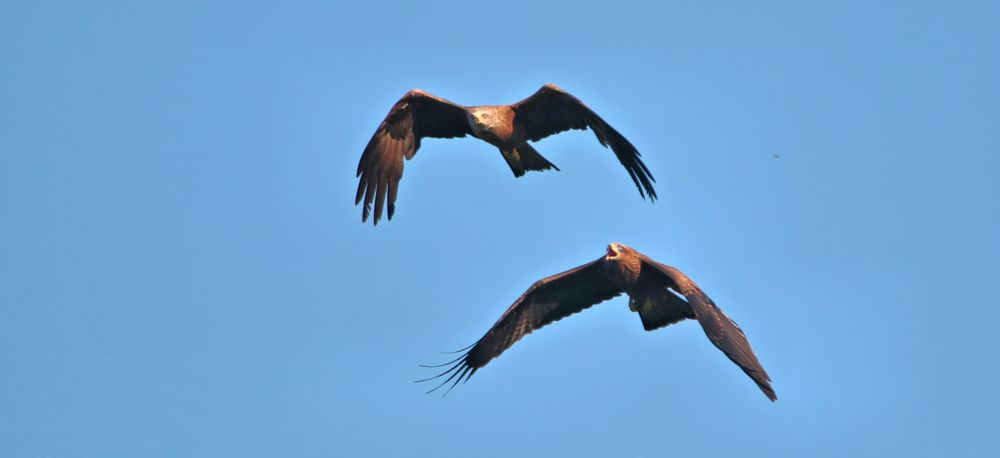 DER FAMILIENAUSFLUG