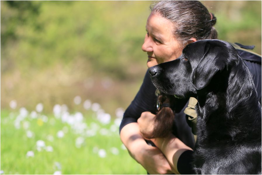 Der Familienhund