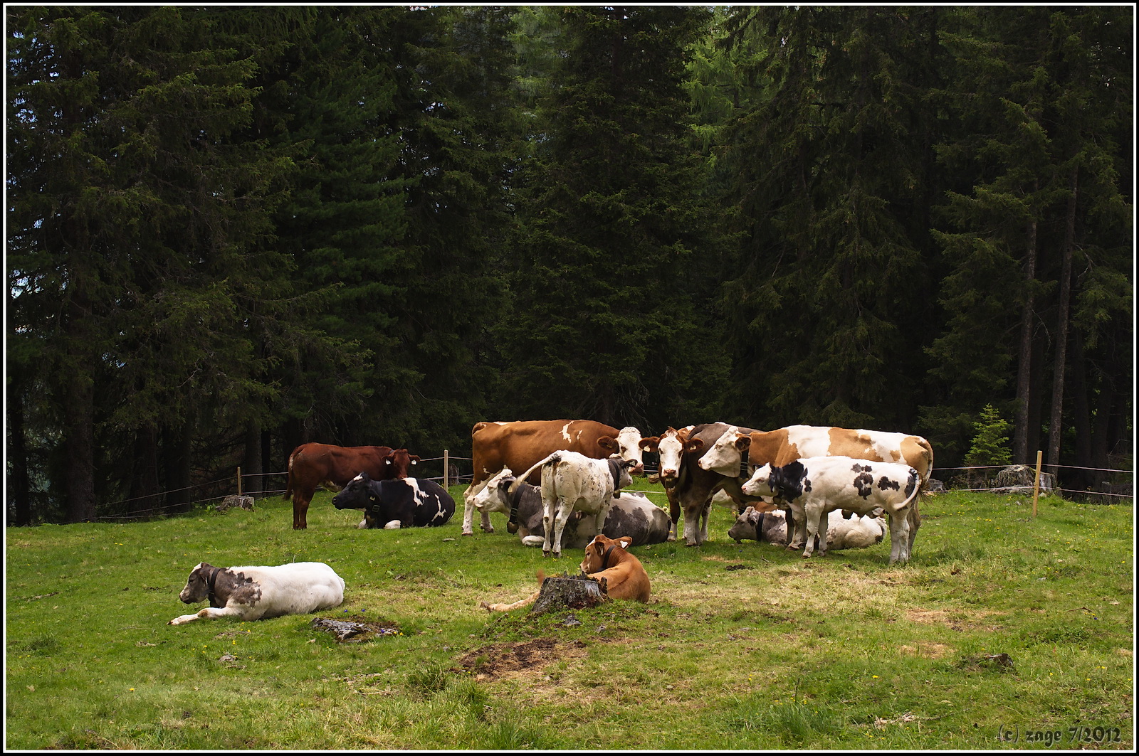 Der Familienrat tagt