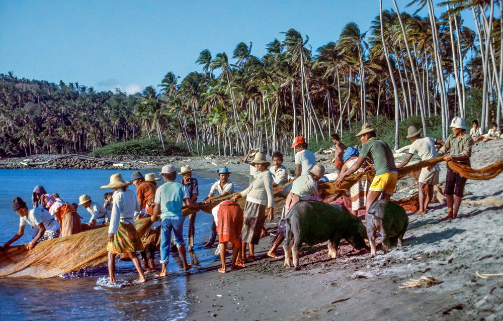 Der Fang Foto & Bild beach, people, world Bilder auf