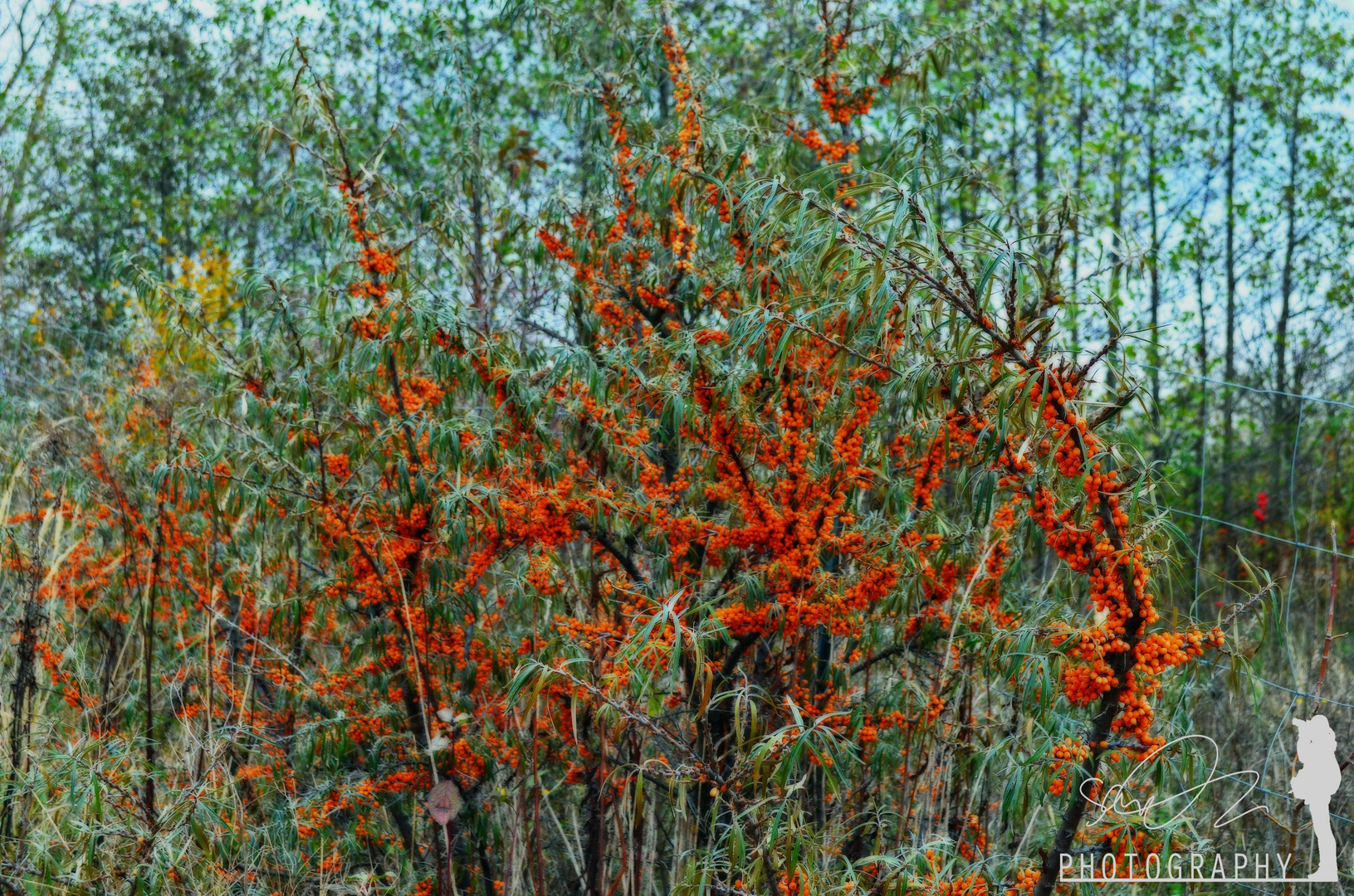 Der farbenfrohe Herbst!