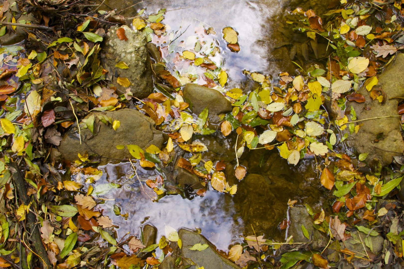 Der farbenfrohe Herbst!