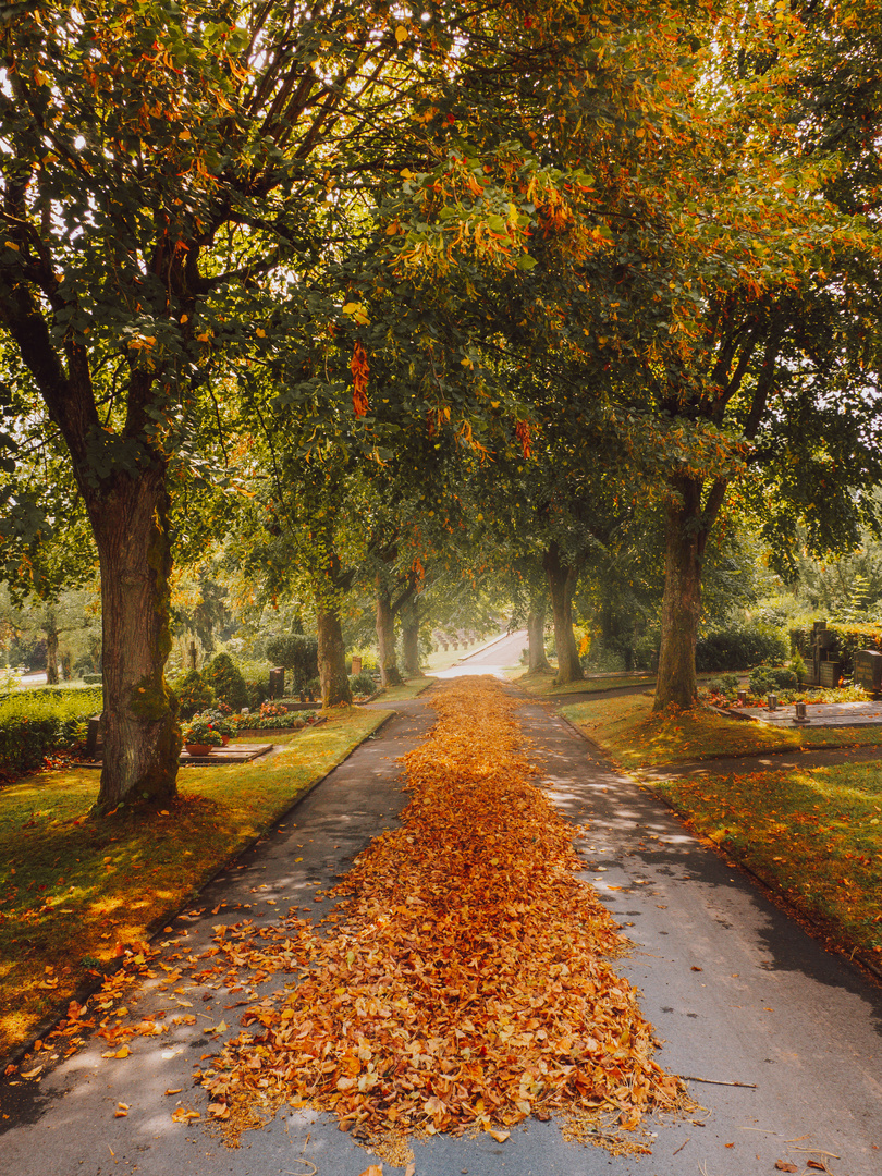 Der farbenfrohe Herbst kommt