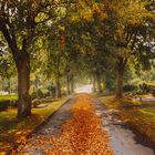 Der farbenfrohe Herbst kommt