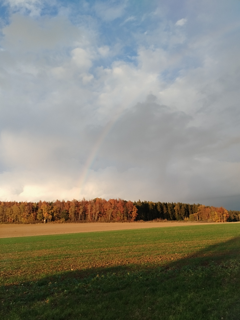 Der Farbige Herbst