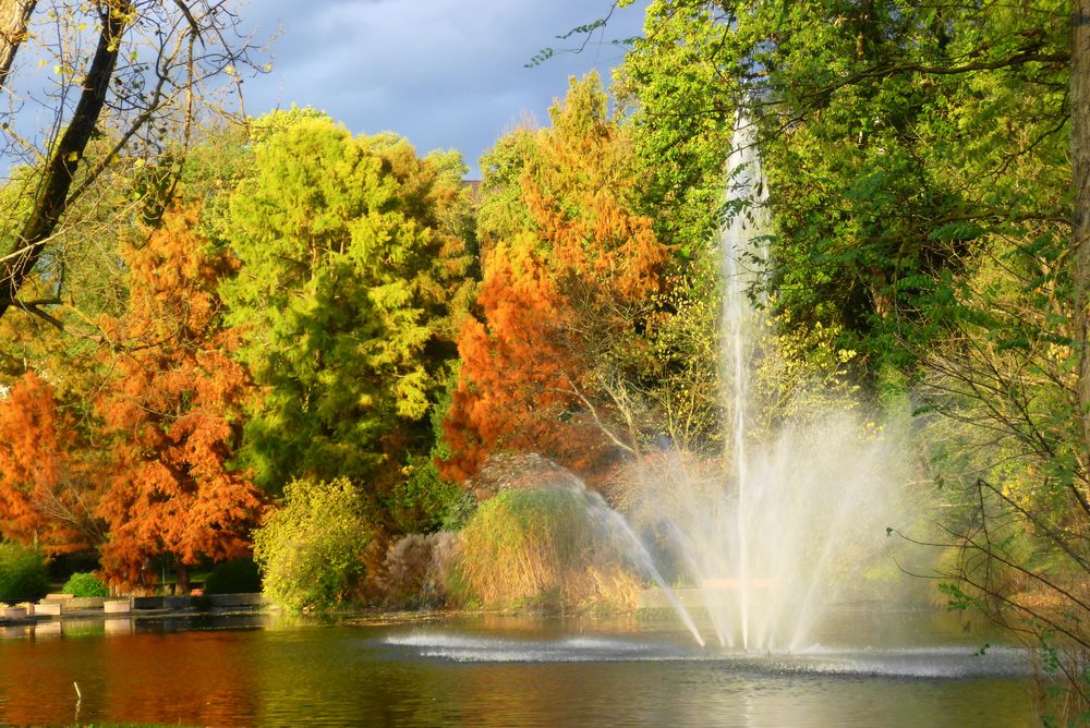 Der farbige Herbst im Kurpark von Bad Bellingen