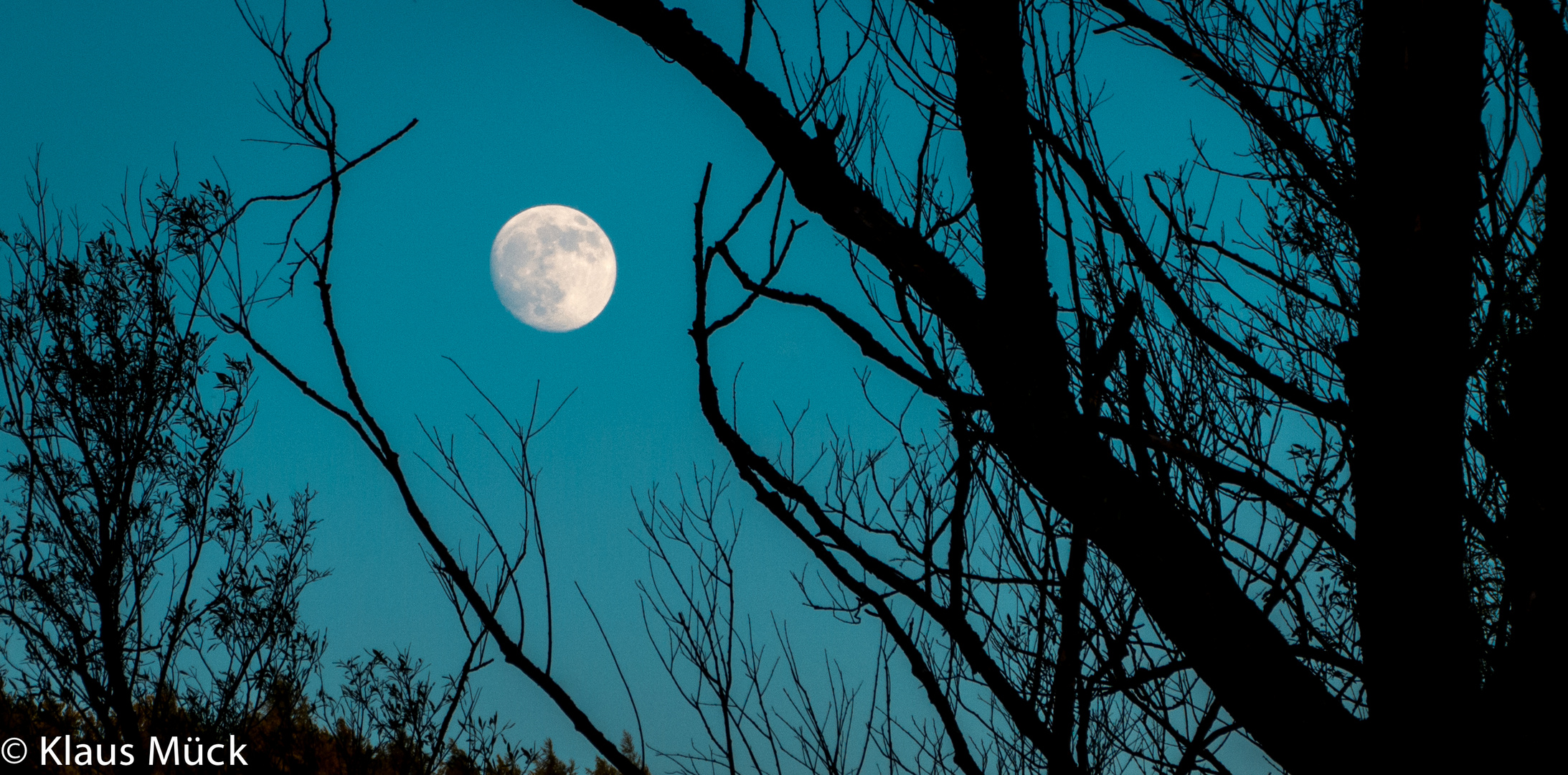 der (fast) Vollmond zur kürzesten Nacht des Jahres