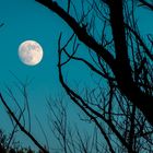 der (fast) Vollmond zur kürzesten Nacht des Jahres