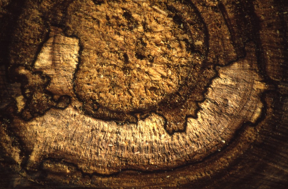 Der Faulenzer Foto & Bild abstraktes, formen, details Bilder auf