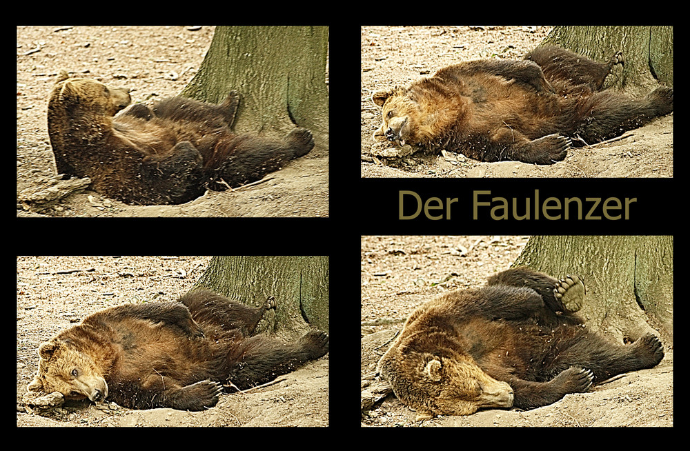 Der Faulenzer