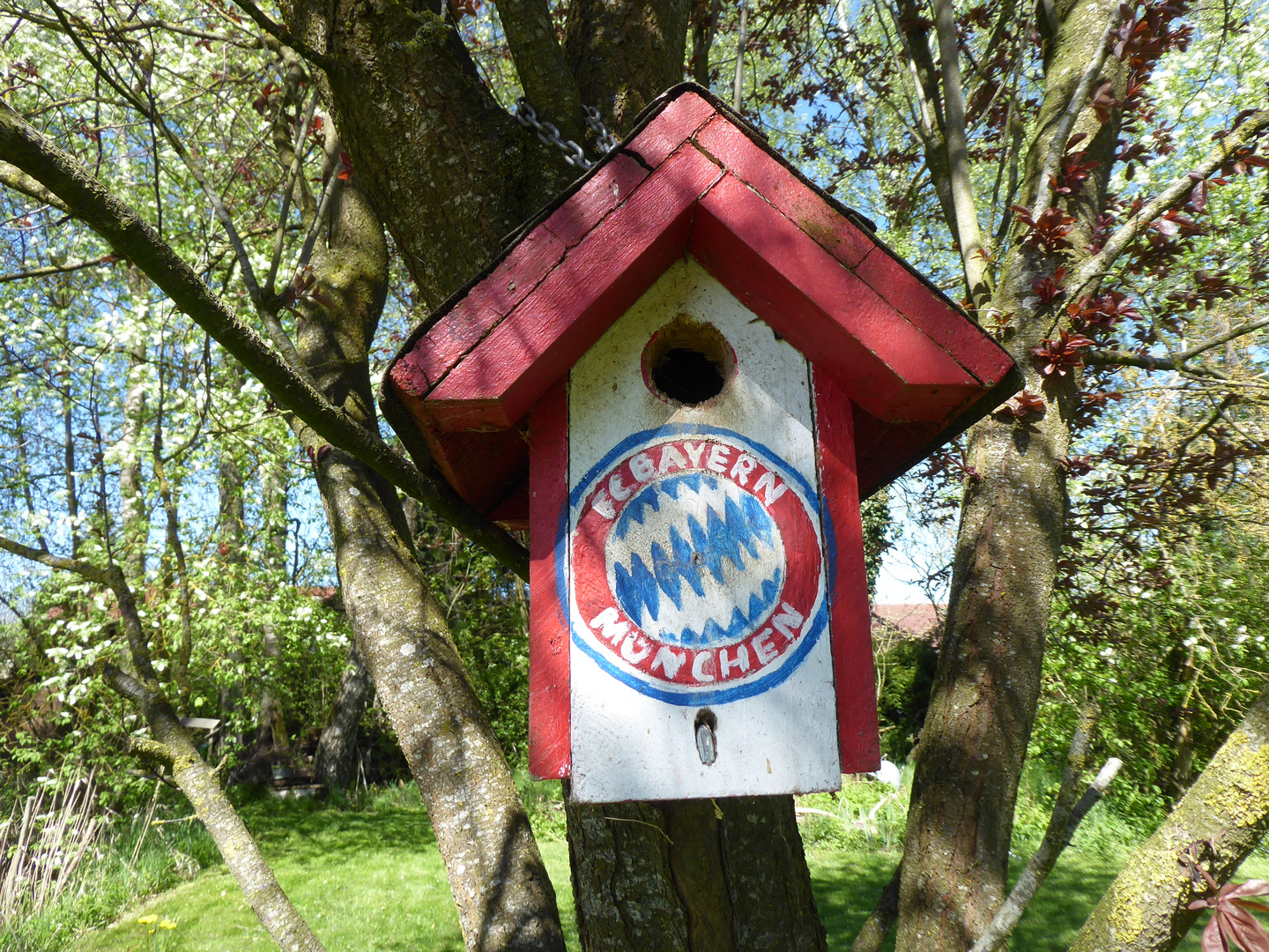 Der Fc Bayern Nachwuchs...