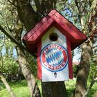 Der Fc Bayern Nachwuchs...