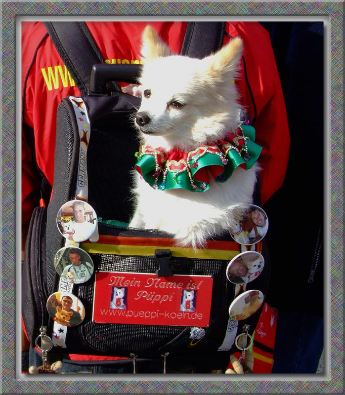 Der FC Fan im Rucksack