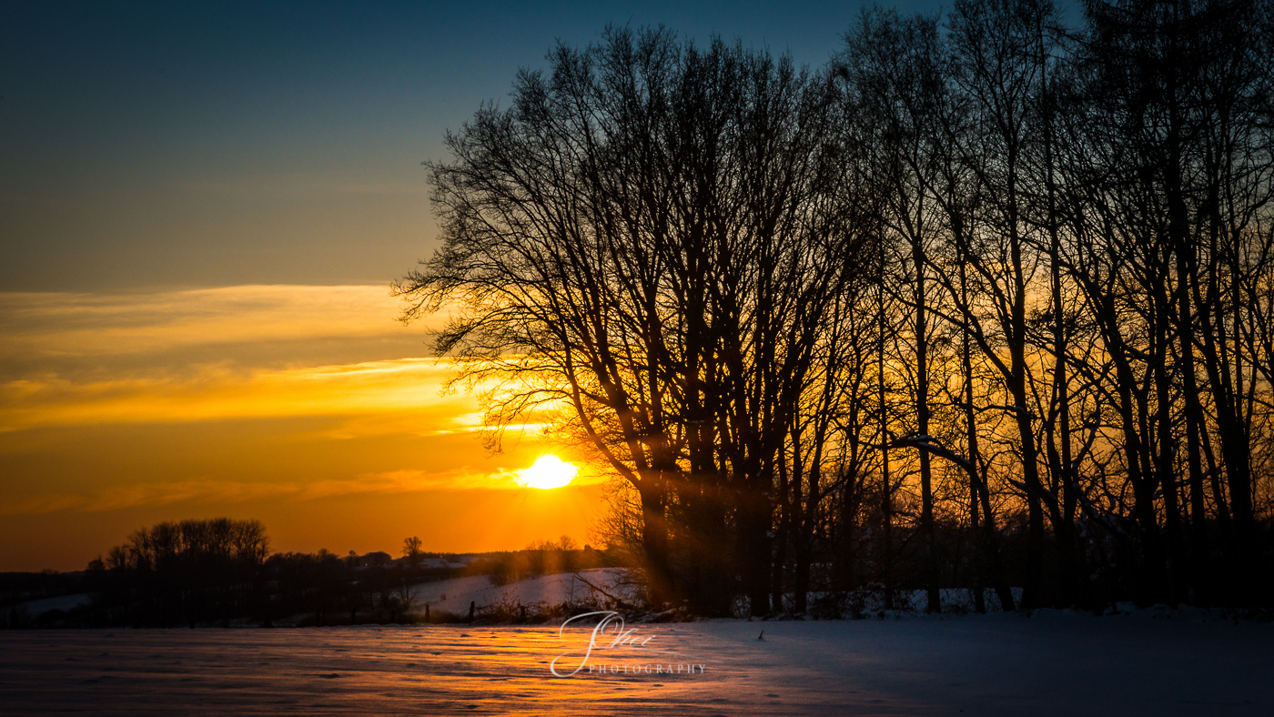 Der Februar ist geschafft...