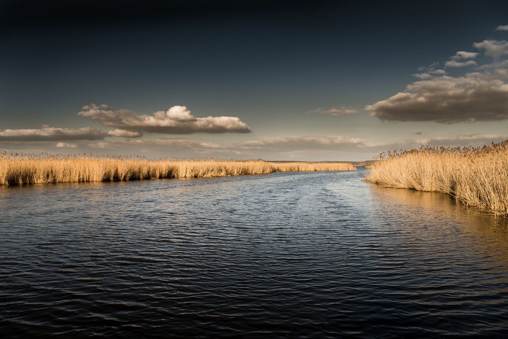 Der Federsee