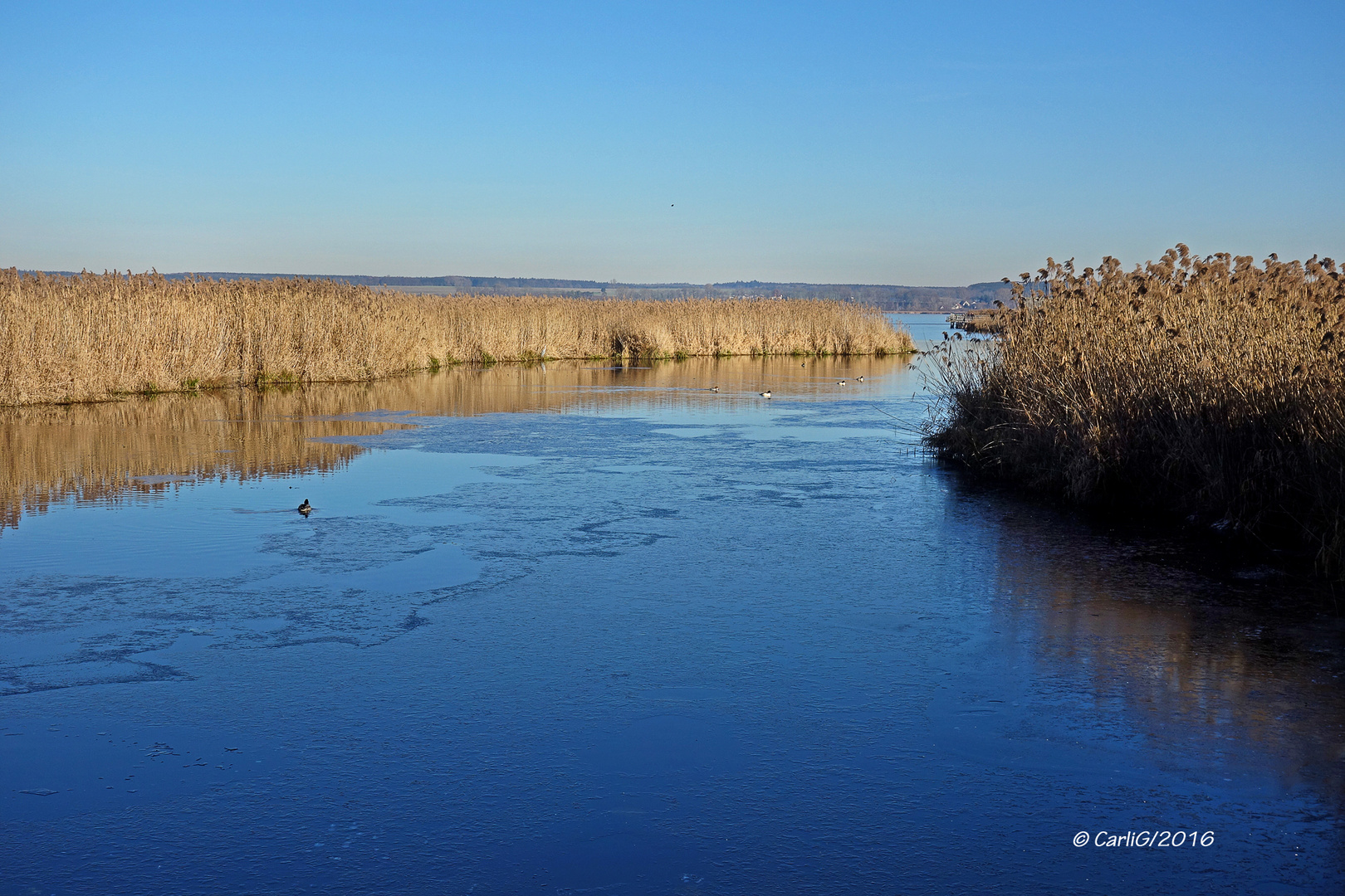 Der Federsee