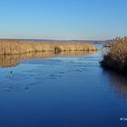 Der Federsee