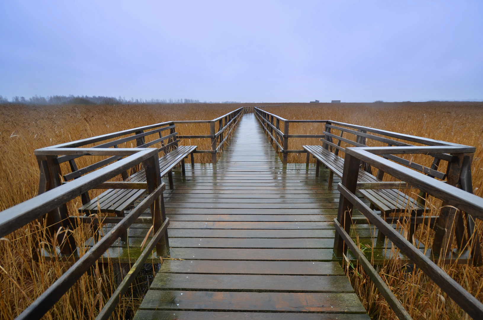 Der Federsee im Herbst