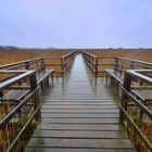 Der Federsee im Herbst