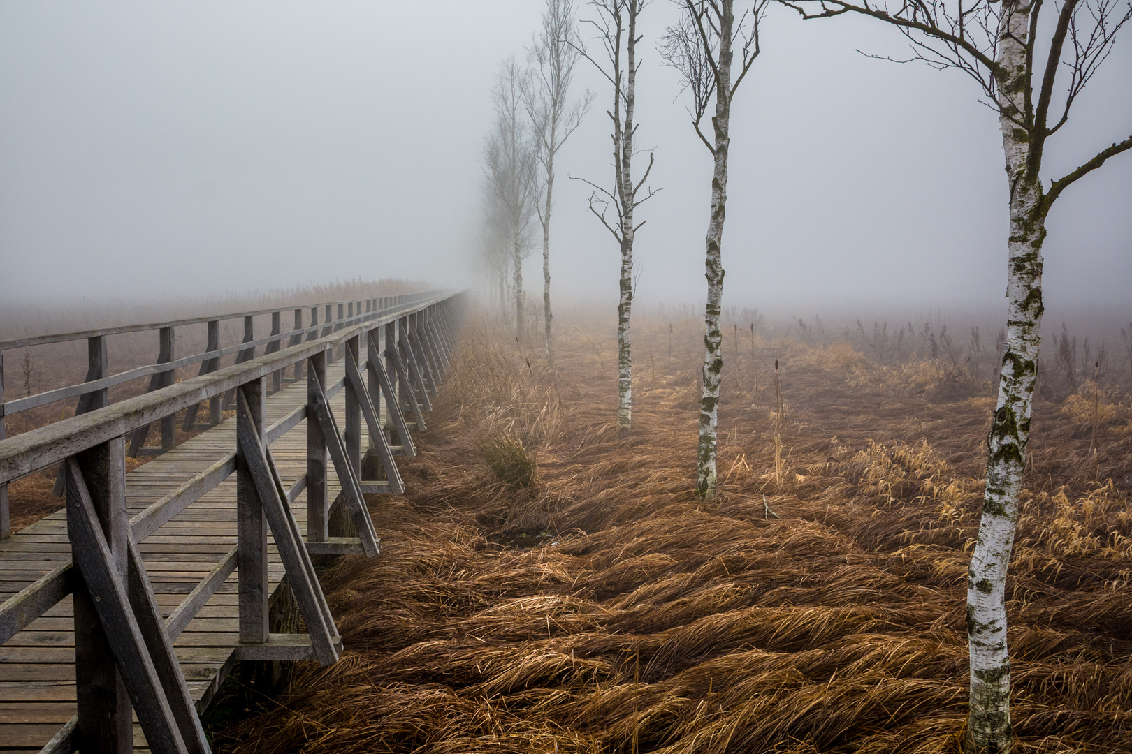 Der Federseesteg im Herbst