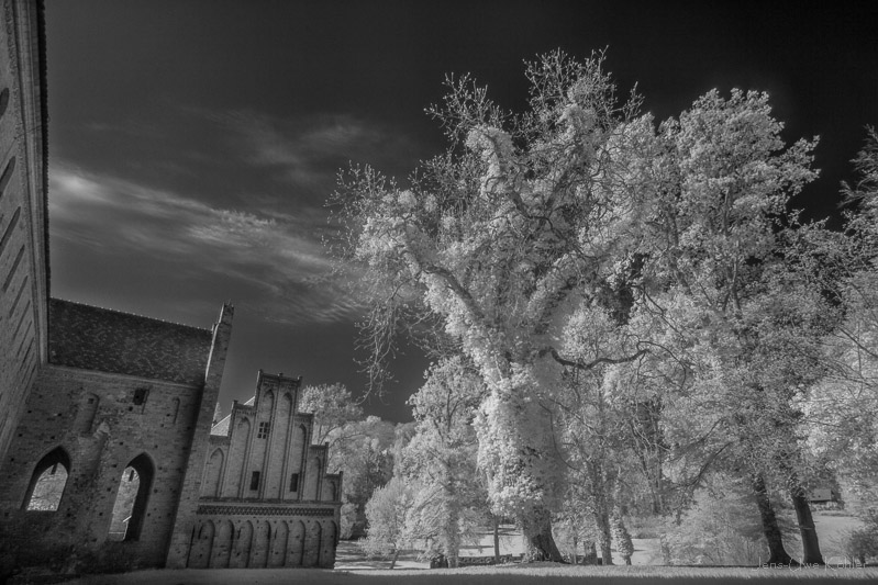 Der Feentanz am Kloster Chorin