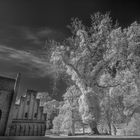 Der Feentanz am Kloster Chorin