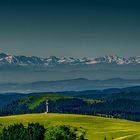 Der Feldberg 