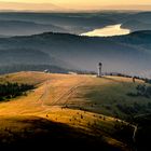 Der Feldberg am heißen Sommer Morgen 