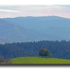 Der Feldberg im Schwarzwald