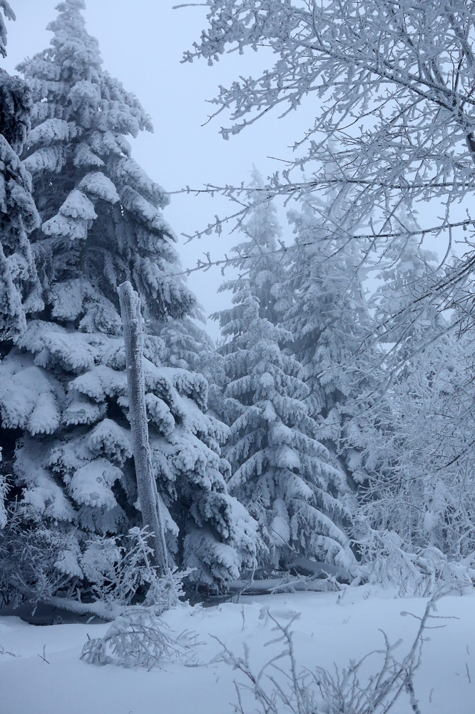 Der Feldberg im Taunus