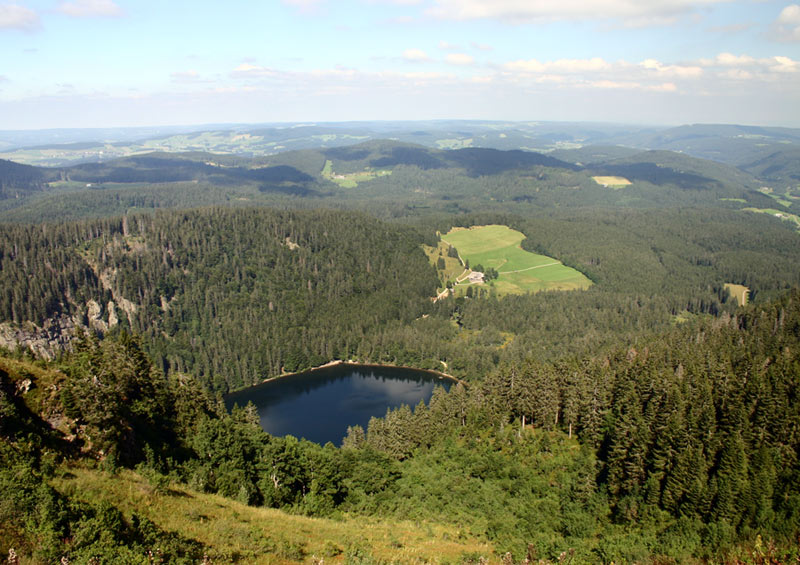 Der Feldsee