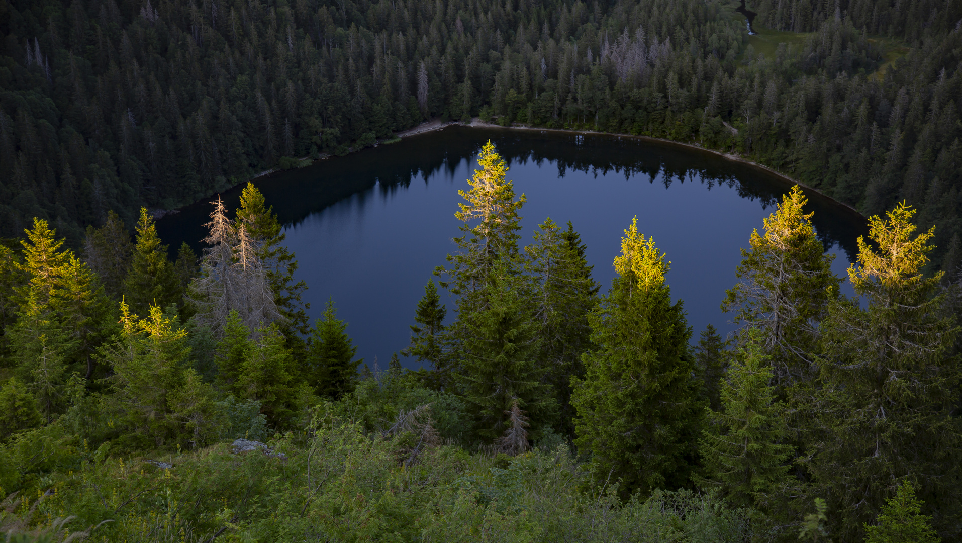 Der Feldsee