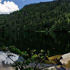 Der Feldsee im Hochschwarzwald