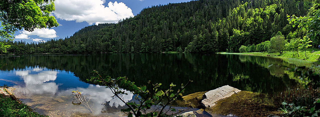 Der Feldsee im Hochschwarzwald