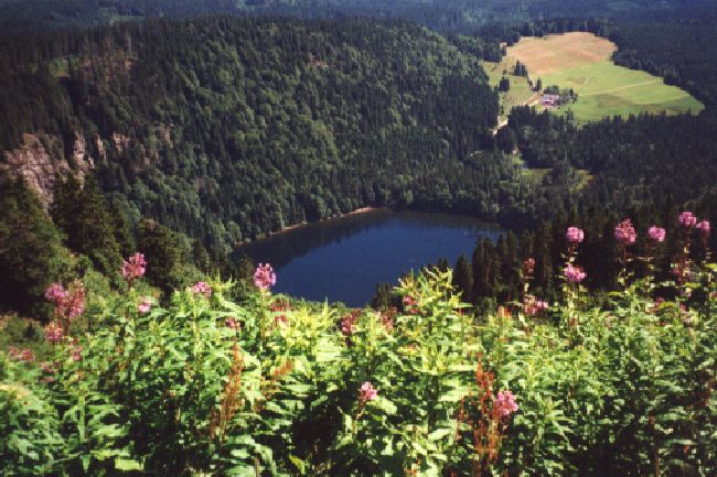 Der Feldsee im Hochschwarzwald