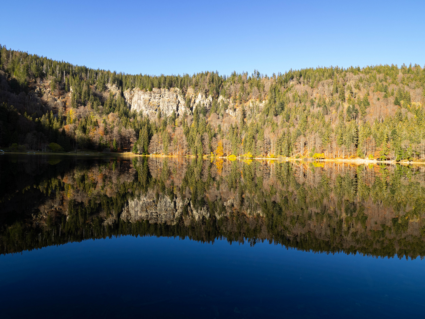 Der Feldsee im Schwarzwald