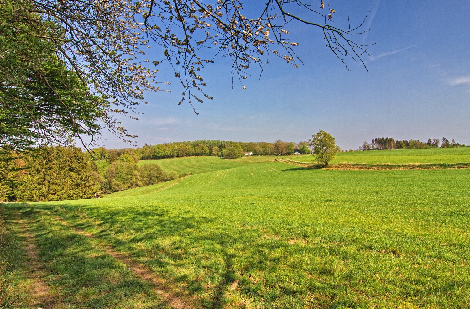 Der Feldweg