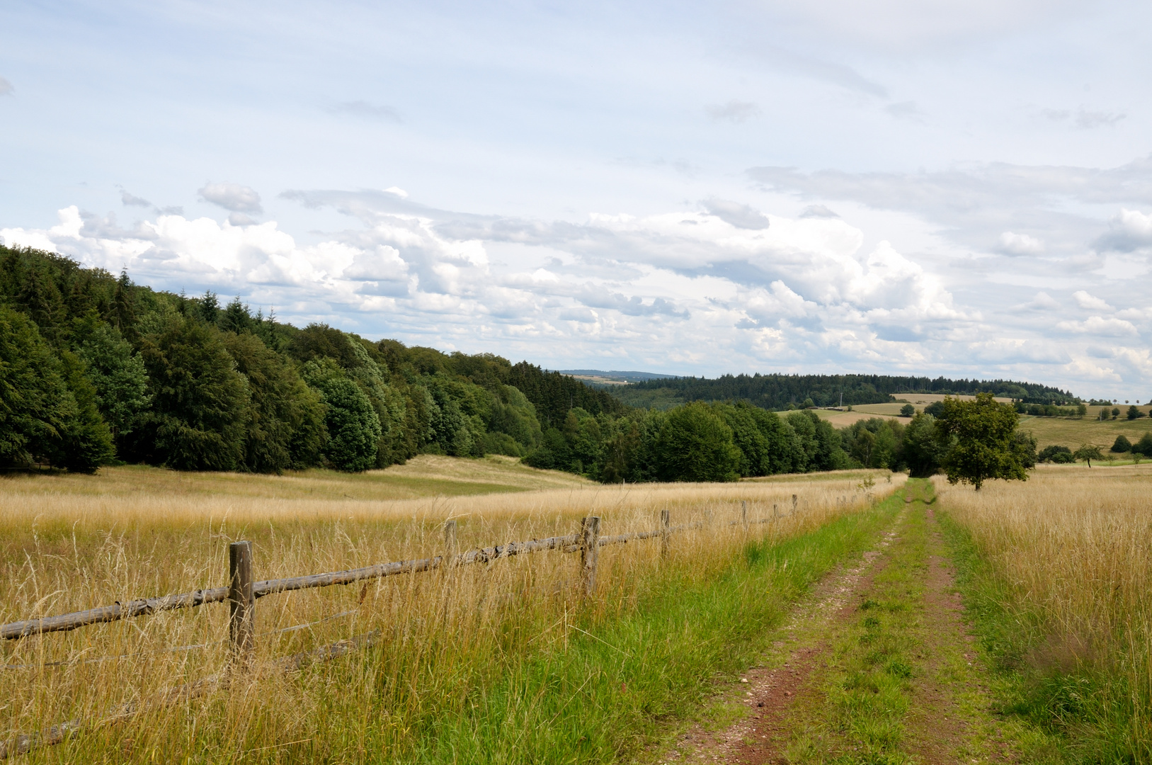 Der Feldweg