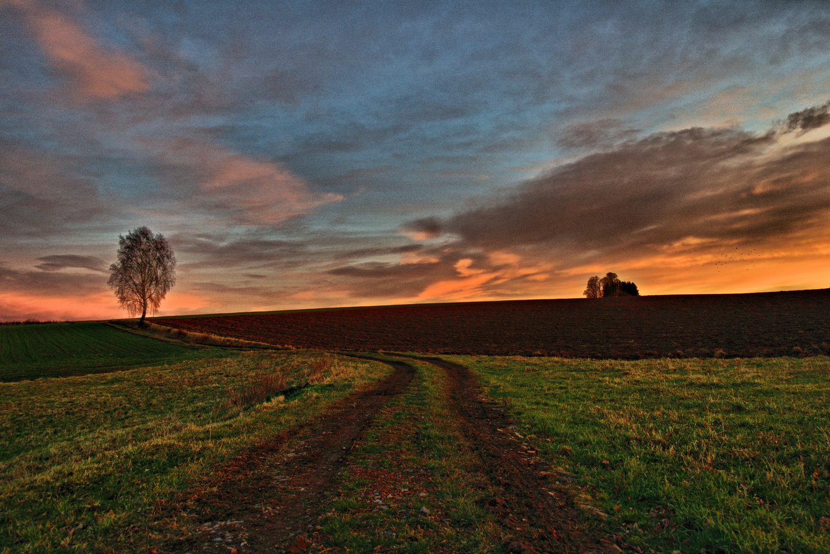 Der Feldweg