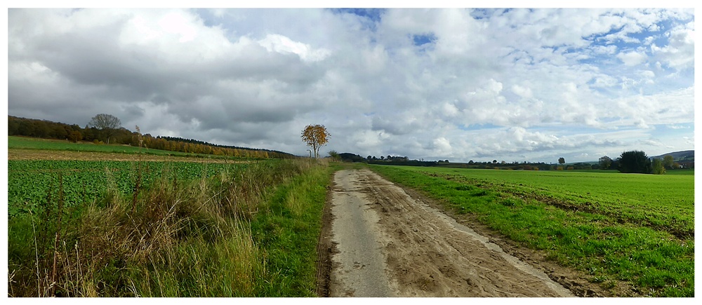 Der Feldweg