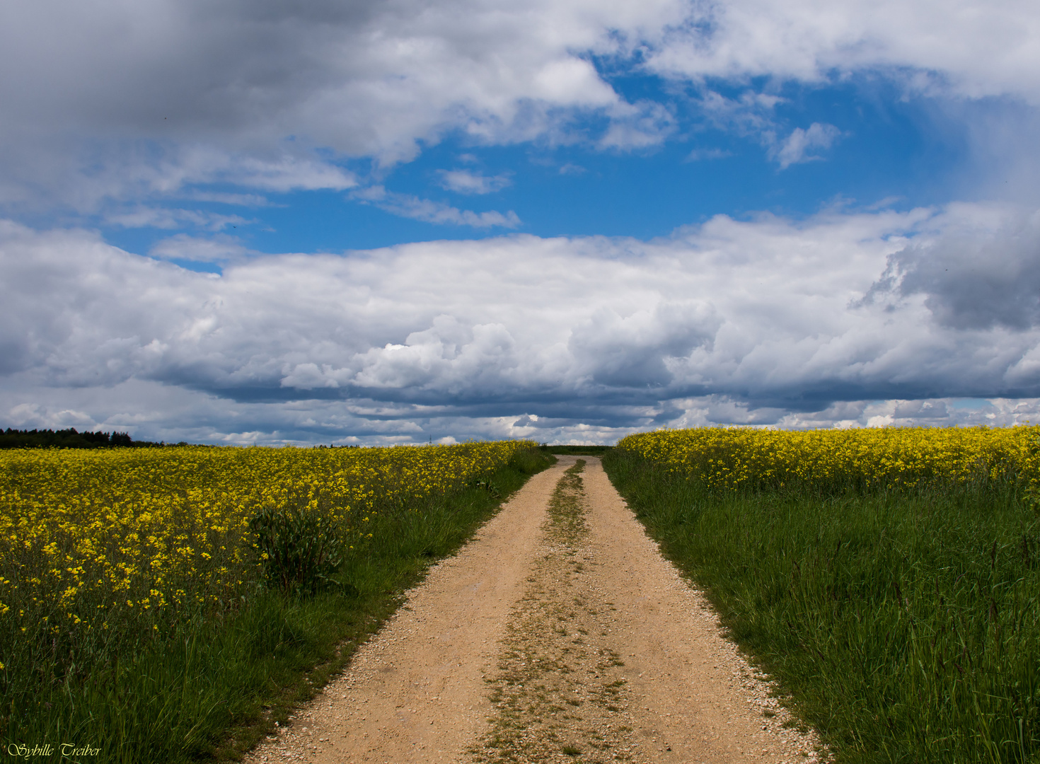 Der Feldweg