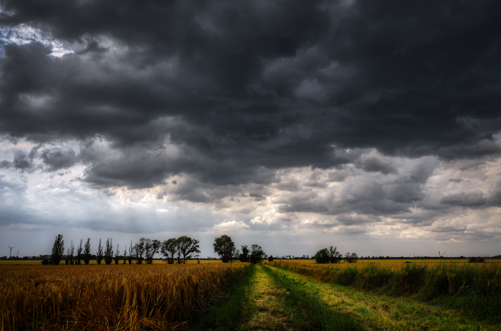 Der Feldweg ...