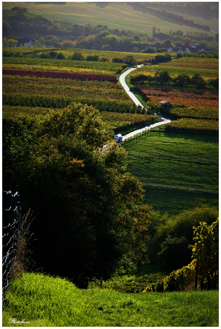 Der Feldweg