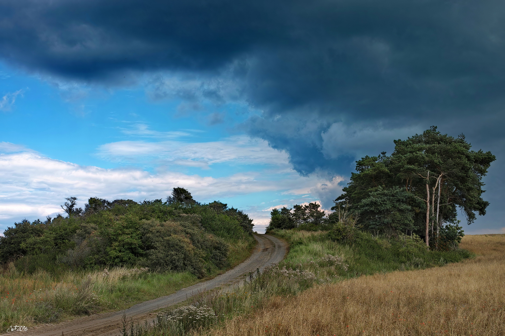 Der Feldweg